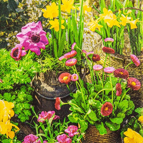 20 Servietten Spring Garden - Garten mit gesammelten Blumen 33x33cm