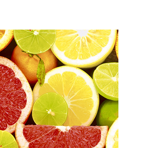 20 kleine Cocktailservietten Citrus Mix - Mix an Zitrusfrüchte 25x25cm