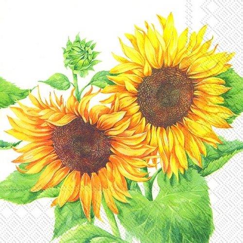 20 Servietten Mirasol white - Zwei Sonnenblumen in voller Blüte 33x33cm