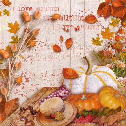 20 Servietten Colours of Autumn - Deko in herbstlichen Farben 33x33cm