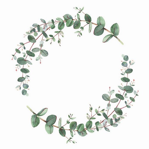 20 Servietten Eucalyptus Branch white - Kranz mit Eukalyptus 33x33cm