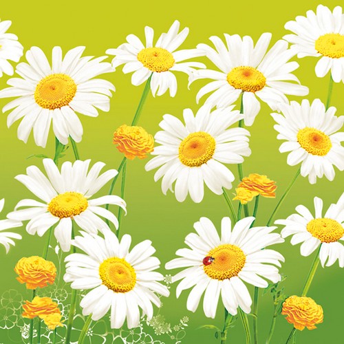 20 Servietten Lovely Marguerites on Green - Liebevolle Margeriten auf grün 33x33cm