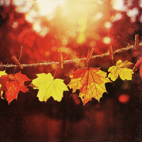 20 Servietten Sunny Fall - Herbstblätter im Sonnenschein 33x33cm 