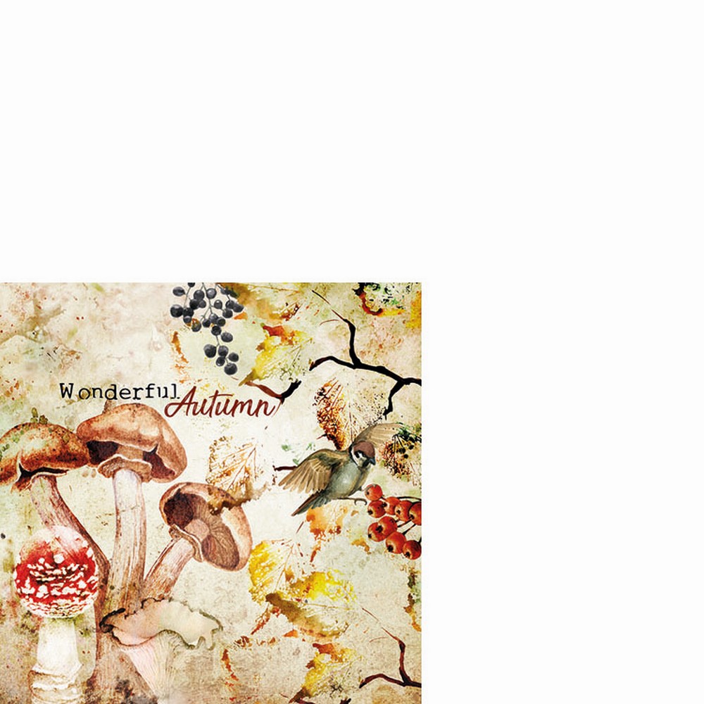 20 kleine Cocktailservietten Wonderful Autumn - Herbstdetails Vintage 25x25cm