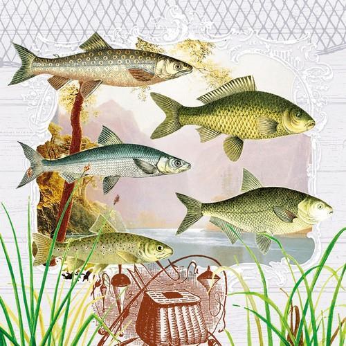 20 Servietten Fish Portrait - Fische im Portrait 33x33cm