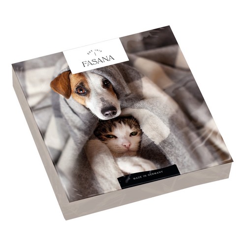 20 Servietten Two Friends - Katze und Hund schmusen 33x33cm