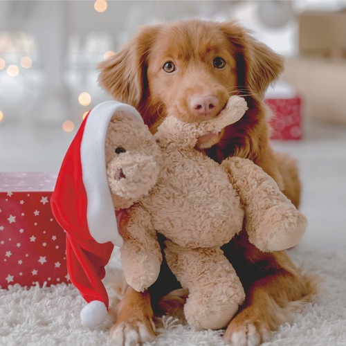 20 Servietten Woof - Hund hat Weihnachtsteddy  33x33cm