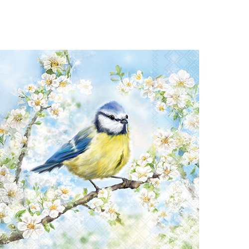 20 kleine Cocktailservietten Blossom time  - Blaumeise an Frühlingszweige 25x25cm