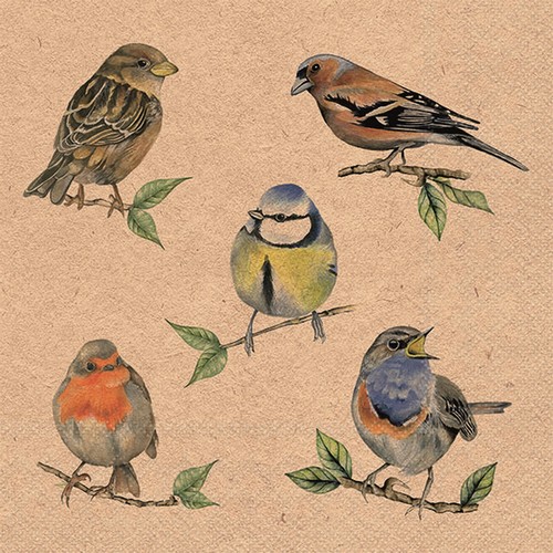 20 Servietten aus 80% Recycling-Papier Eco Bird Species natural - Vögel aus der Heimat 33x33cm