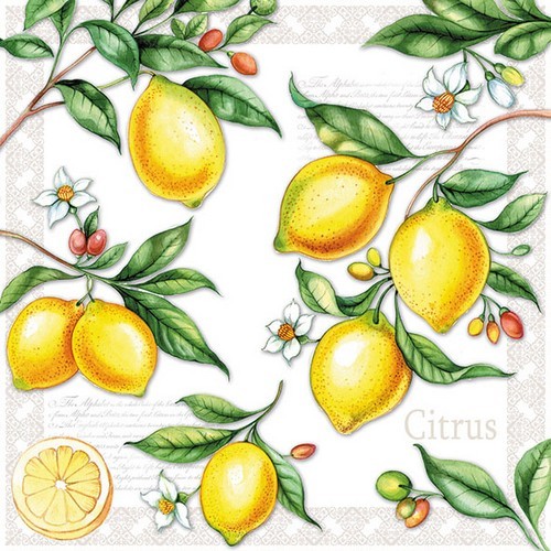 20 Servietten Citrus - Zitronenzweige 33x33cm
