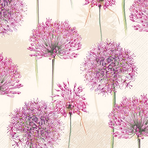 20 Servietten Allium cream -  33x33cm
