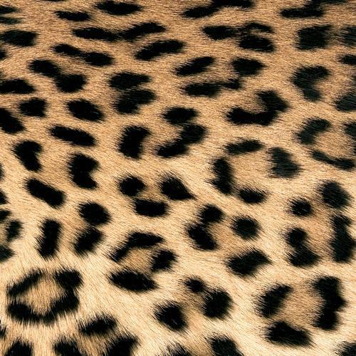 20 Servietten Leopard Couture – Fell des Leoparden 33x33cm