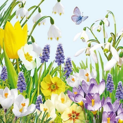 20 Servietten Spring Time - Bunte Frühlingswiese 33x33cm