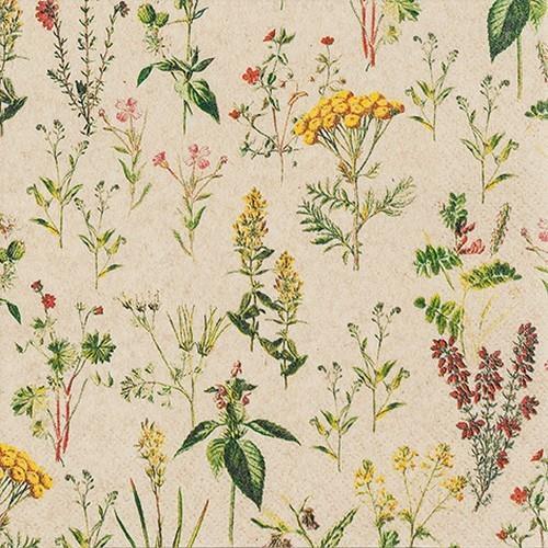 20 Servietten Eco Line Herbal Meadow - Wiese voller Pflanzen Eco 33x33cm