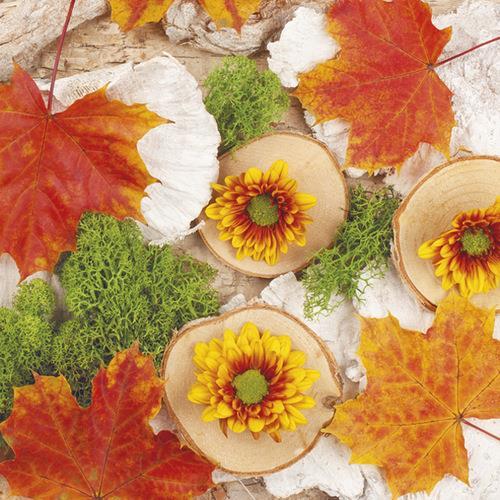 20 Servietten Autumn Composition With Maple Tree Leaves – Herbstblätter auf Baumscheiben 33x33cm