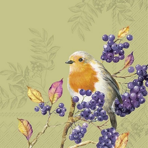 20 Servietten Bird Life green - Rotkehlchen an Ast voller Beeren 33x33cm