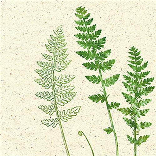 20 Servietten Jardin Deko natur - Botanik grün 33x33cm