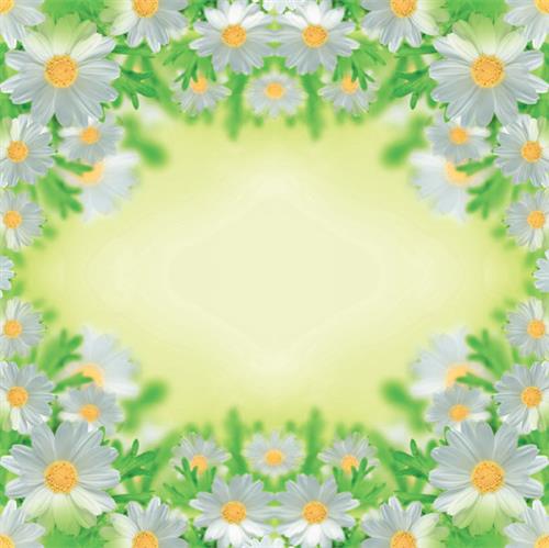 Servietten Blumen Margeriten grün