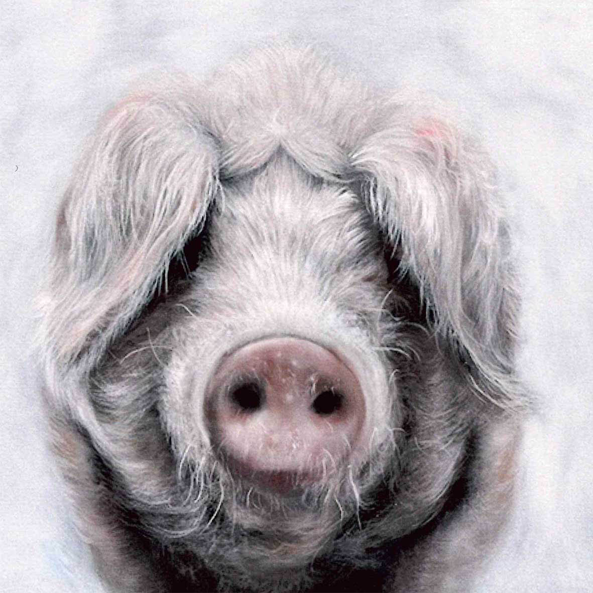 20 Servietten Boris - Aufmerksames Schwein 33x33cm