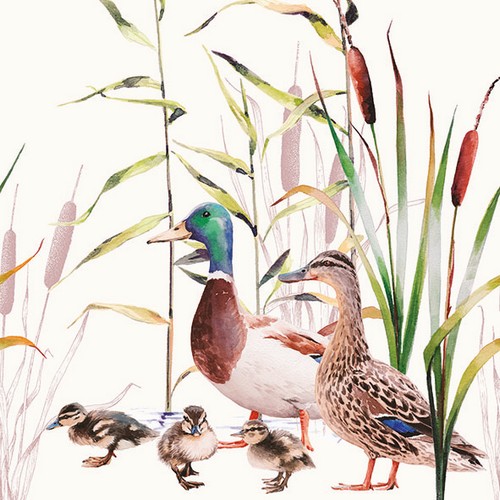 20 Servietten Ducks Couple - Wildenten mit Küken 33x33cm