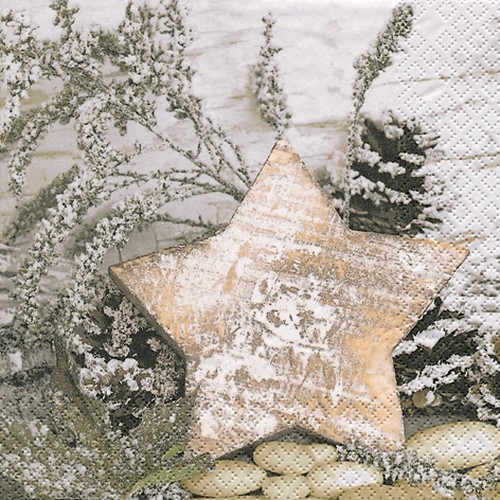 RP 20 Servietten Wooden Star - Holzstern 33x33cm