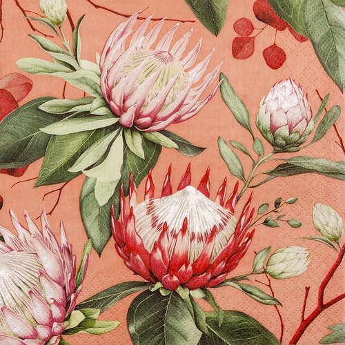 20 Servietten Madiba Protea coral - Protea-Blüten lachs 33x33cm