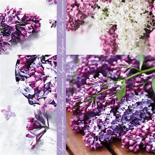 20 Servietten Syringa-Vulgaris - Flieder Collage 33x33cm