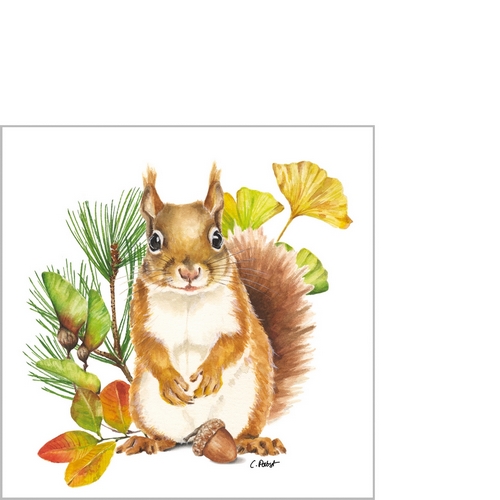 20 kleine Cocktailservietten Poppy - Eichhörnchen mit Naturblätter 25x25cm