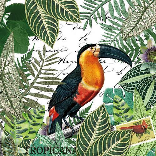 20 Servietten Tropicana - Tukan an Dschungelblätter 33x33cm
