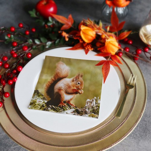 20 Servietten Woodland squirrel - Eichhörnchen aus der Natur 33x33cm