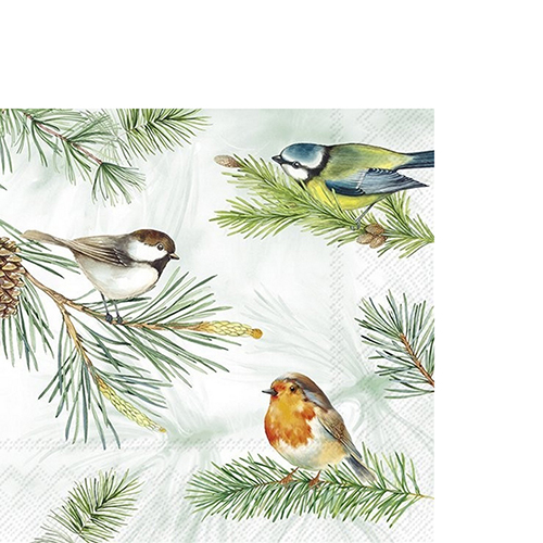 20 kleine Cocktailservietten Charming Birds green 25x25cm