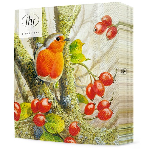 20 Servietten Robin in the Forest - Vogel versteckt sich im Wald 33x33cm