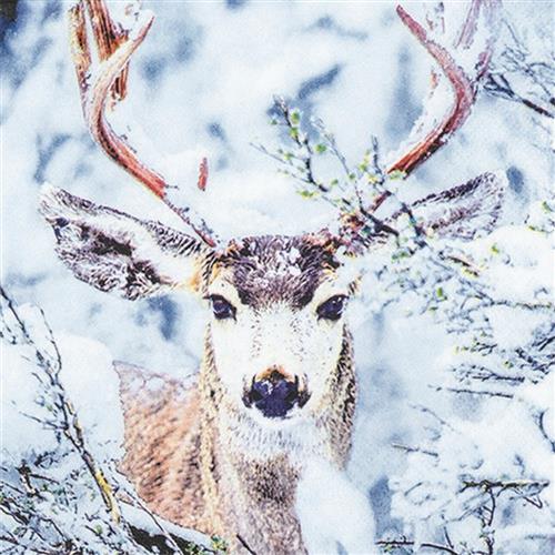20 Servietten Stag in Snow - Hirsch im Winterwald 33x33cm