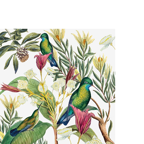 20 kleine Cocktailservietten Tropical Paradise - Tropische Blüte um Blätter 25x25cm