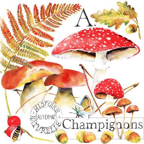 20 Servietten Champignons - Pilze im Herbst 33x33cm