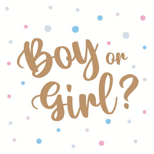 20 Servietten Boy or Girl - Boy or Girl mit Punkte 33x33cm