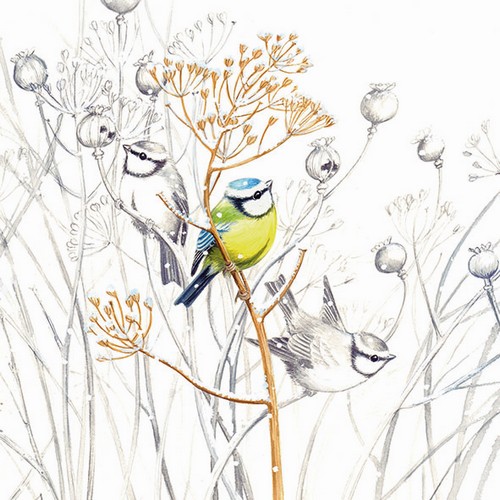 20 Servietten Sweet Little Bird - Blaumeise in grauer Natur 33x33cm