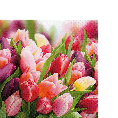 20 kleine Cocktailservietten Pink & Violet Tulips - Tulpen in rosa und rot 25x25cm