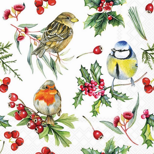 20 Servietten Birds in Winter - Vögel mit Beeren 33x33cm