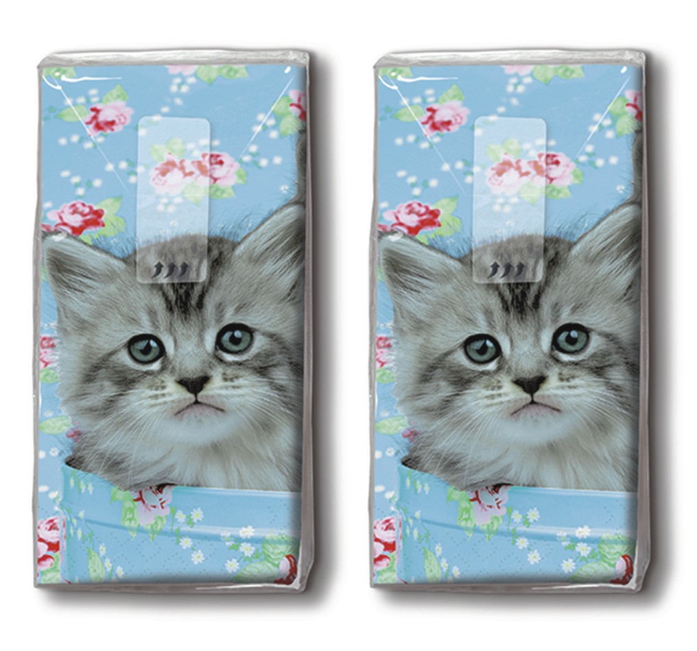 DP 10 Taschentücher Romeo & Julia - Niedliche Katzen