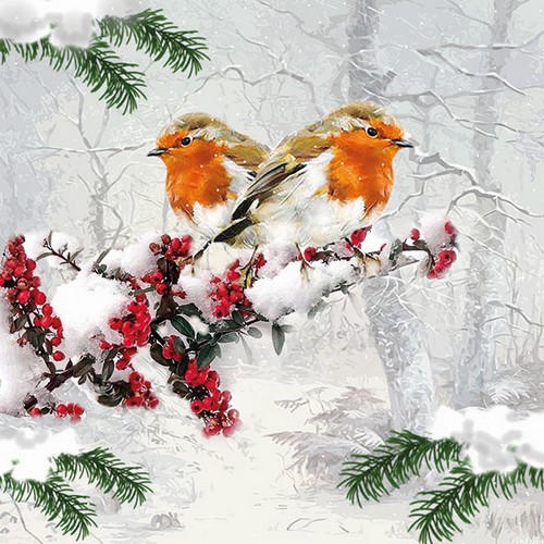 20 Servietten Winter Birds - Paar an Rotkehlchen im Winterbaum 33x33cm