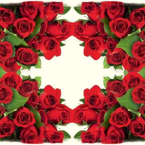 20 Servietten Bunch of Roses - Unzählige rote Rosen 33x33cm