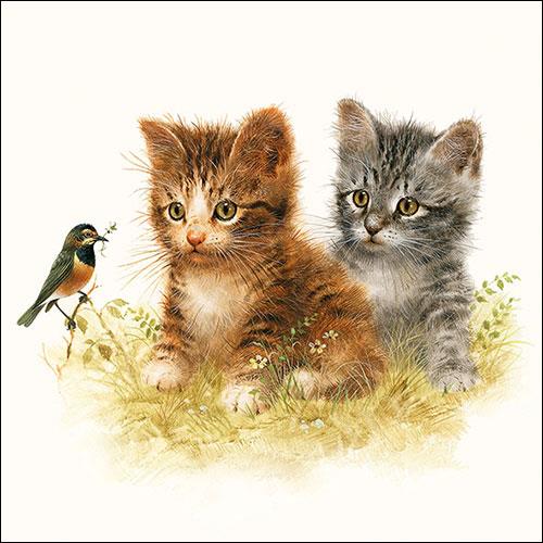 20 Servietten Kitten Friend - Zugängliche Katzen 33x33cm