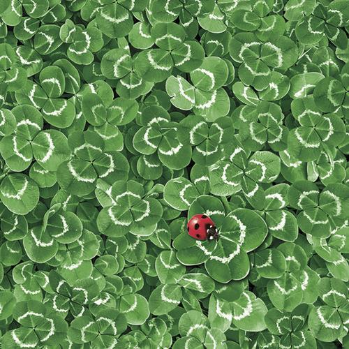 20 Servietten Clover Background with ladybug - Marienkäfer auf Klee 33x33cm