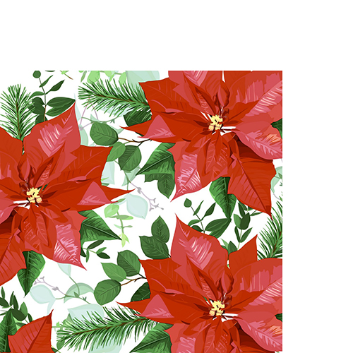 20 kleine Cocktailservietten Floral Christmas - Blühender, roter Weihnachtsstern 24x24cm
