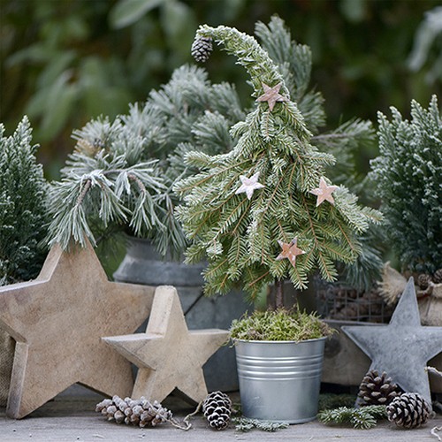 20 Servietten Sweet Fir Tree - Weihnachtliche Gartendekoration 33x33cm