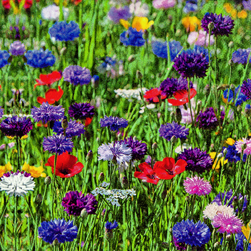 20 Servietten Flower Field - Buntes Blumenfeld 33x33cm