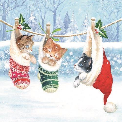 20 Servietten Kitten in Winderland – Knuffige Katzen in Wintersocken 33x33cm