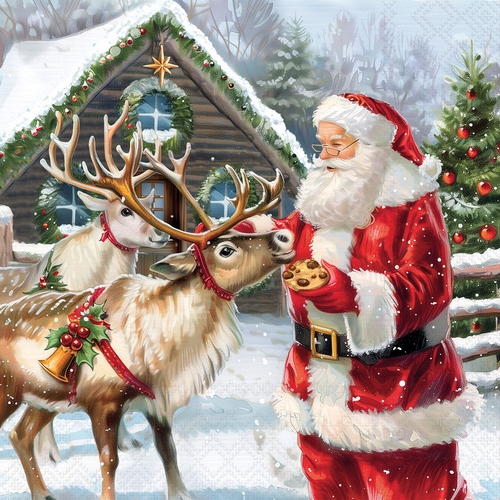 20 Servietten Give a Treat - Santa mit Keks und Rentiere 33x33cm