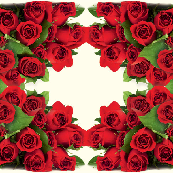 20 Servietten Bunch of Roses - Unzählige rote Rosen 33x33cm